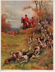 Fox hunting, polo and other horse prints
